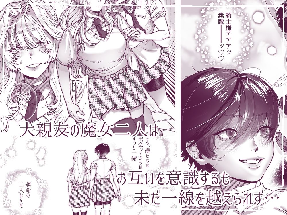 麗しの姫君♂は気高き騎士♀を溺愛したい - サンプル画像 1