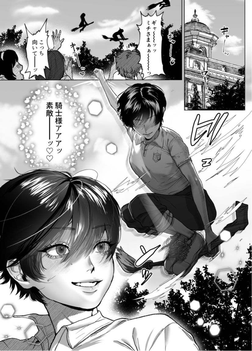 麗しの姫君♂は気高き騎士♀を溺愛したい - サンプル画像 6