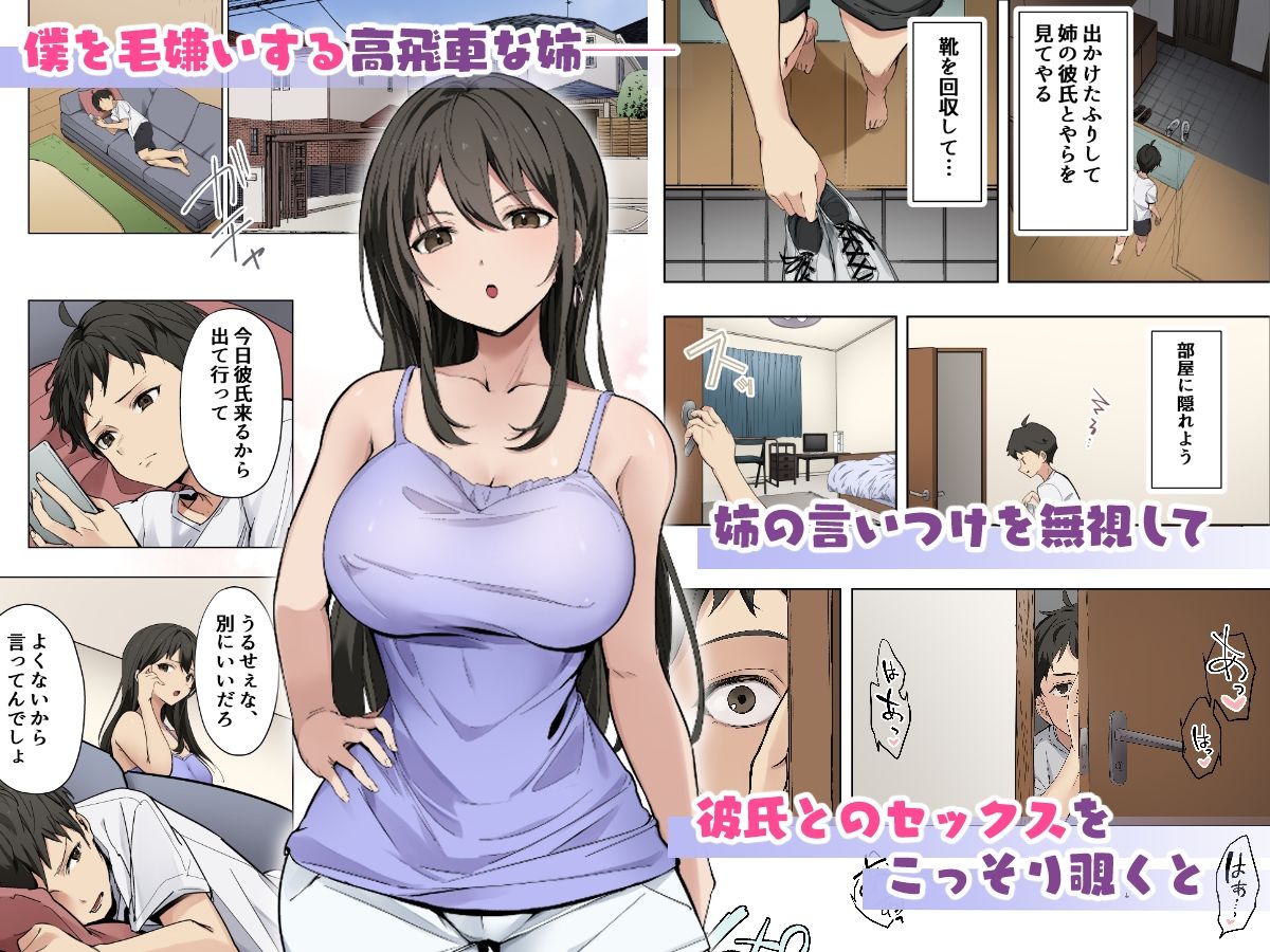 姉が彼氏とセックスしているのを目撃して以来、勃起が止まらずハメまくっちゃいました - サンプル画像 1