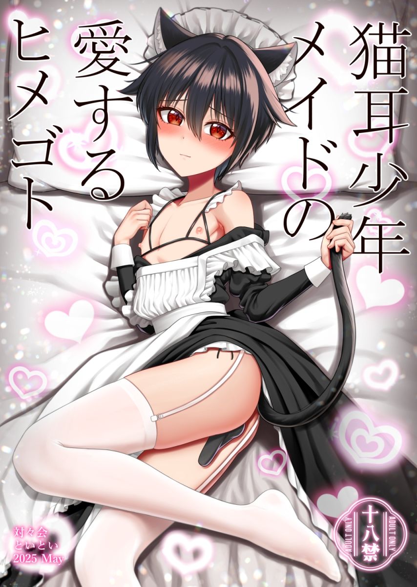 猫耳少年メイドの愛するヒメゴト - サンプル画像 1
