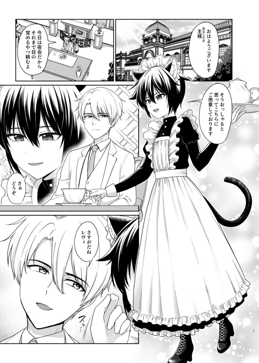 猫耳少年メイドの愛するヒメゴト - サンプル画像 2