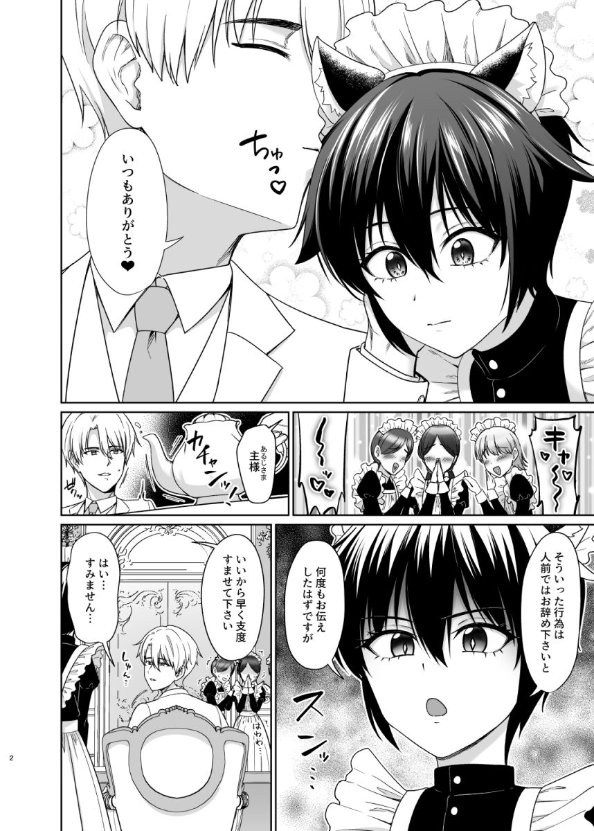 猫耳少年メイドの愛するヒメゴト - サンプル画像 3