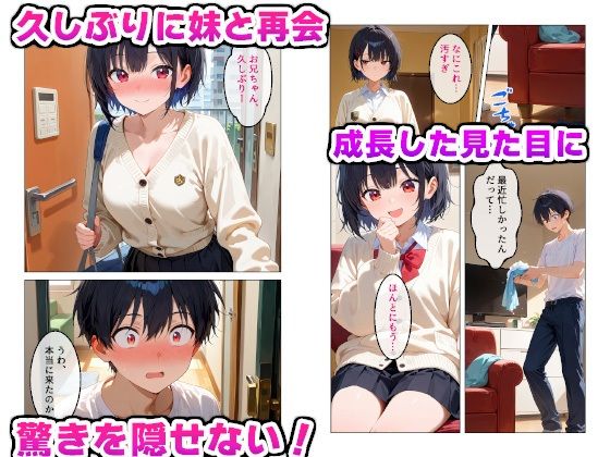 制服姿の妹が可愛すぎたので我慢できず生ハメしちゃった話 - サンプル画像 2