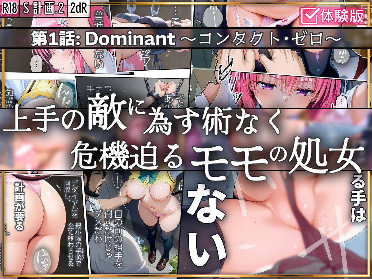 S計画.2 〜第3王女・モモ、奴◯堕ち〜 - サンプル画像 4