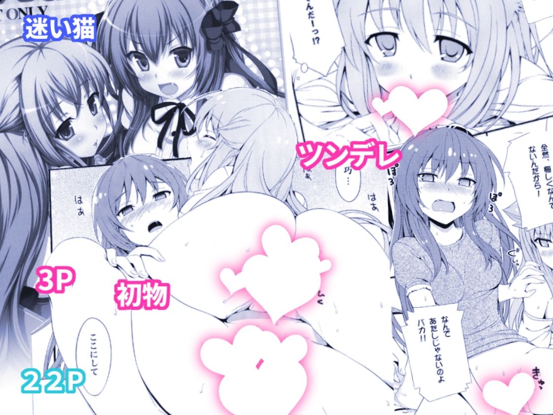 ねこはまんまがうつくしい 最初のまとめ本 - サンプル画像 5