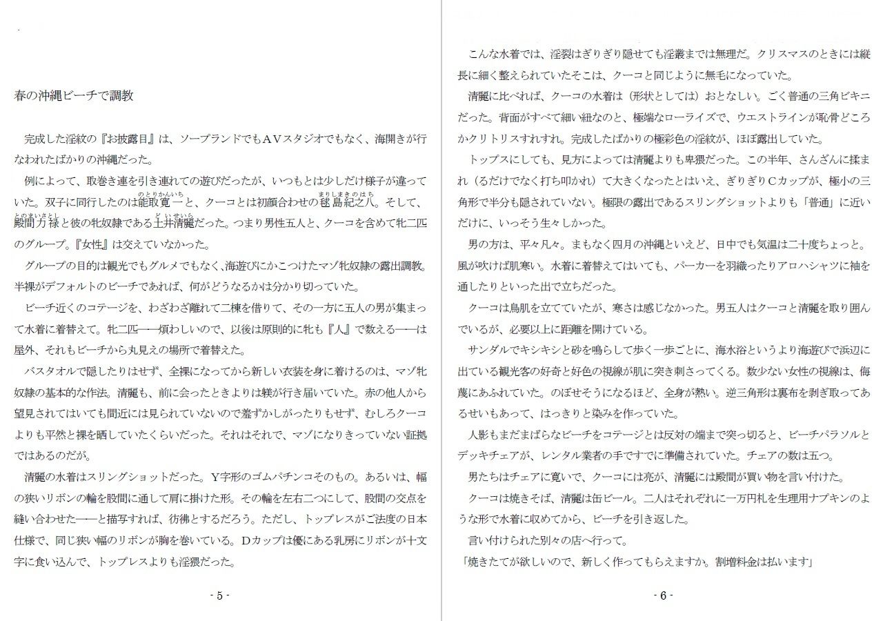 800万円のDVR:3惨虐搾取編 - サンプル画像 1