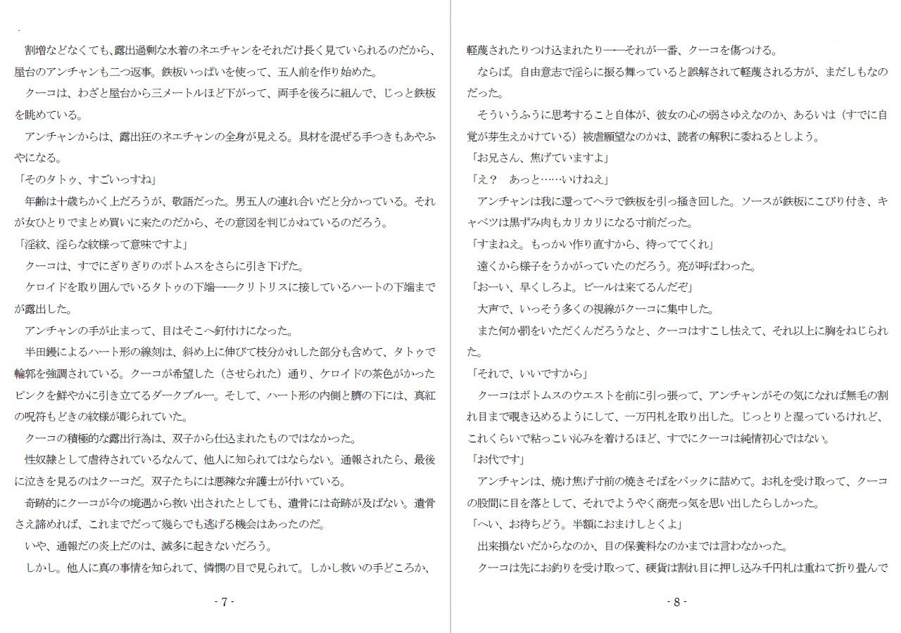 800万円のDVR:3惨虐搾取編 - サンプル画像 2