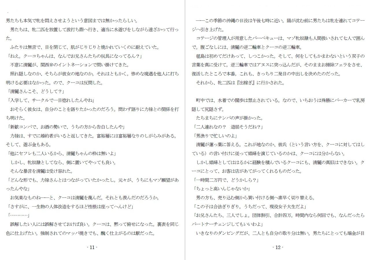 800万円のDVR:3惨虐搾取編 - サンプル画像 4
