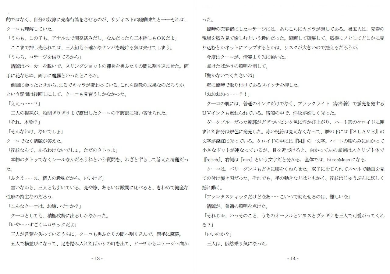 800万円のDVR:3惨虐搾取編 - サンプル画像 5