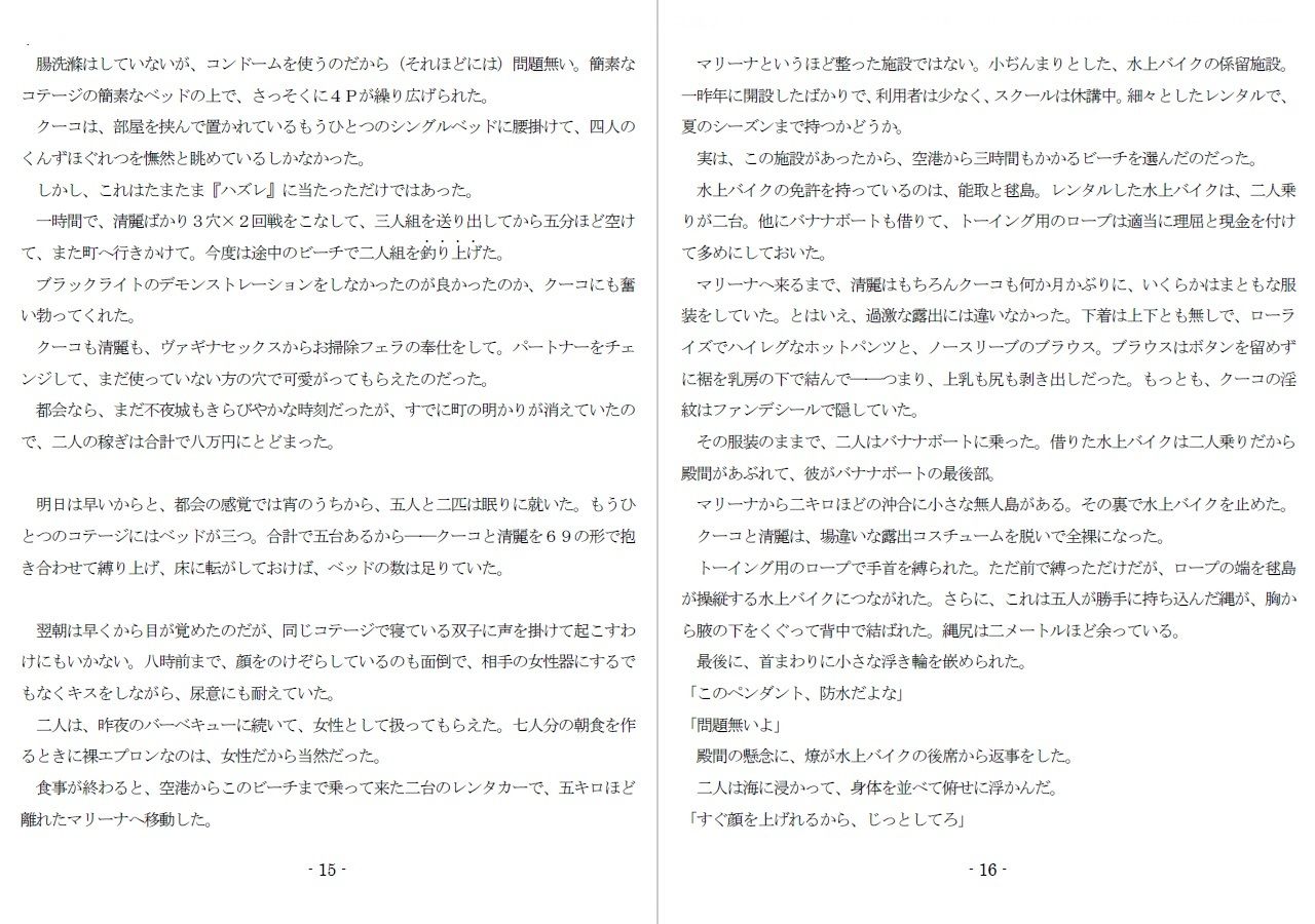 800万円のDVR:3惨虐搾取編 - サンプル画像 6