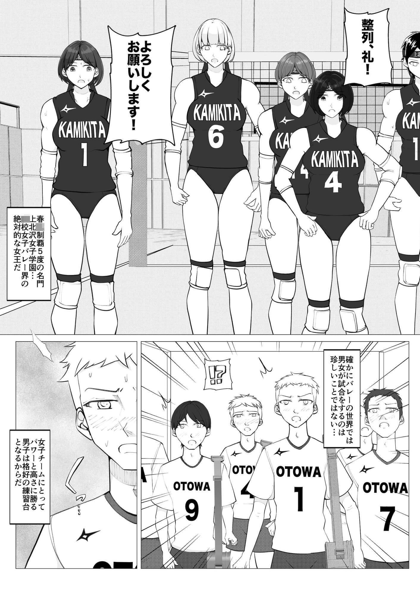 女子vs男子1バレーボール - サンプル画像 1