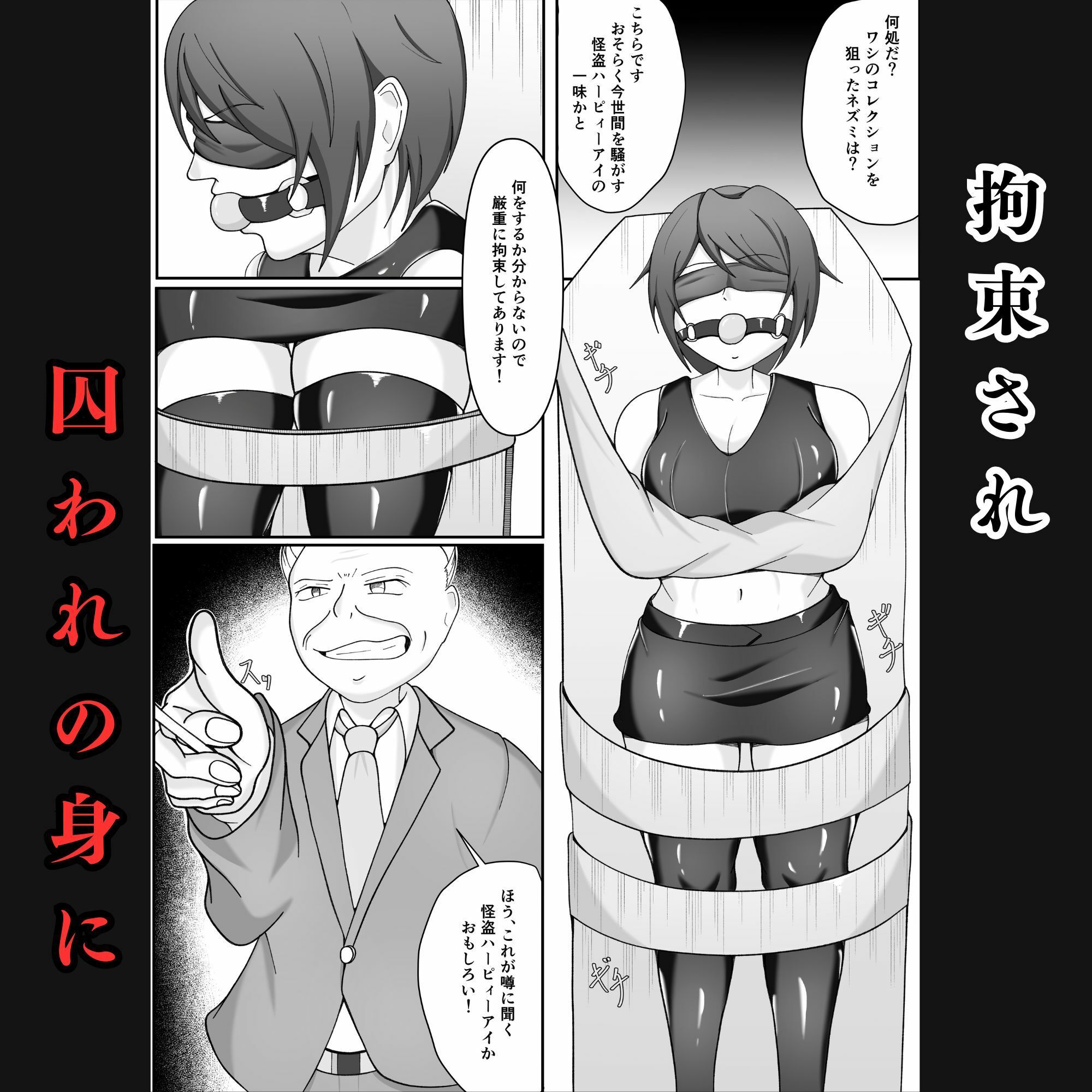 囚われの女怪盗〜侵入に失敗し拘束調教され闇オークションに堕ちる - サンプル画像 5