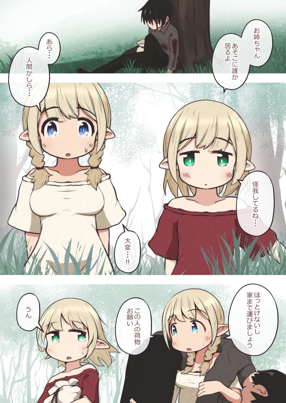 エルフの姉妹に助けられた冒険者が性奴●にされるお話 - サンプル画像 1