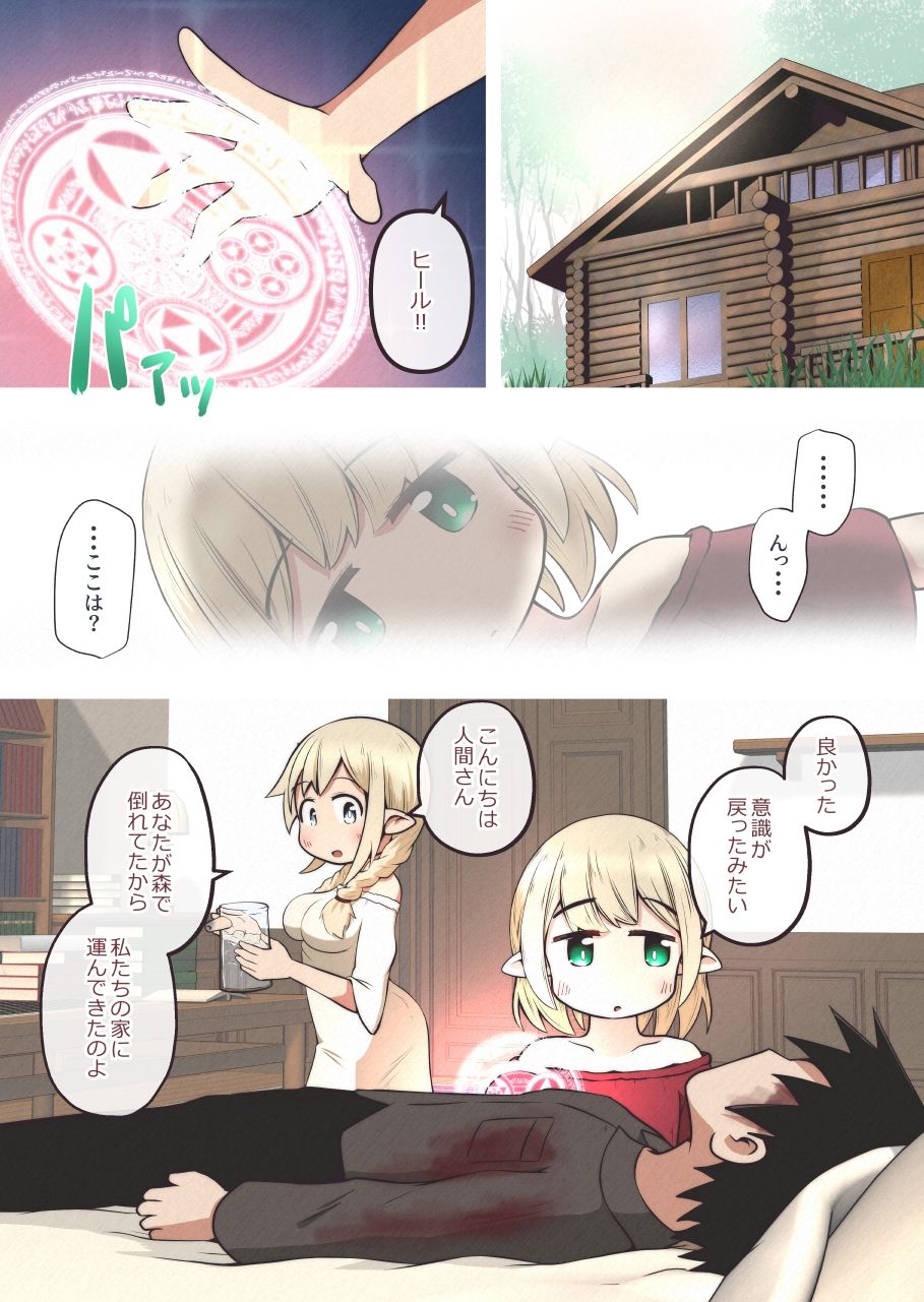エルフの姉妹に助けられた冒険者が性奴●にされるお話 - サンプル画像 2