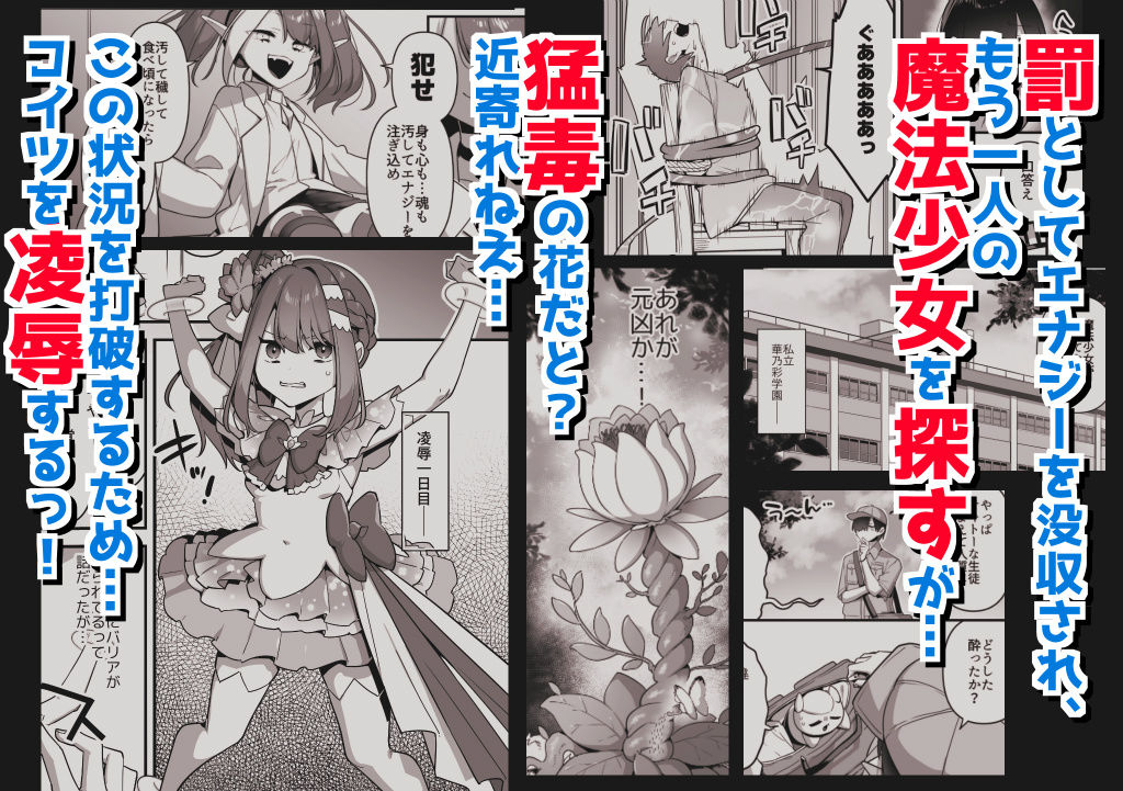 悪の手先になったので。〜魔法少女を凌●します〜3前編 - サンプル画像 2