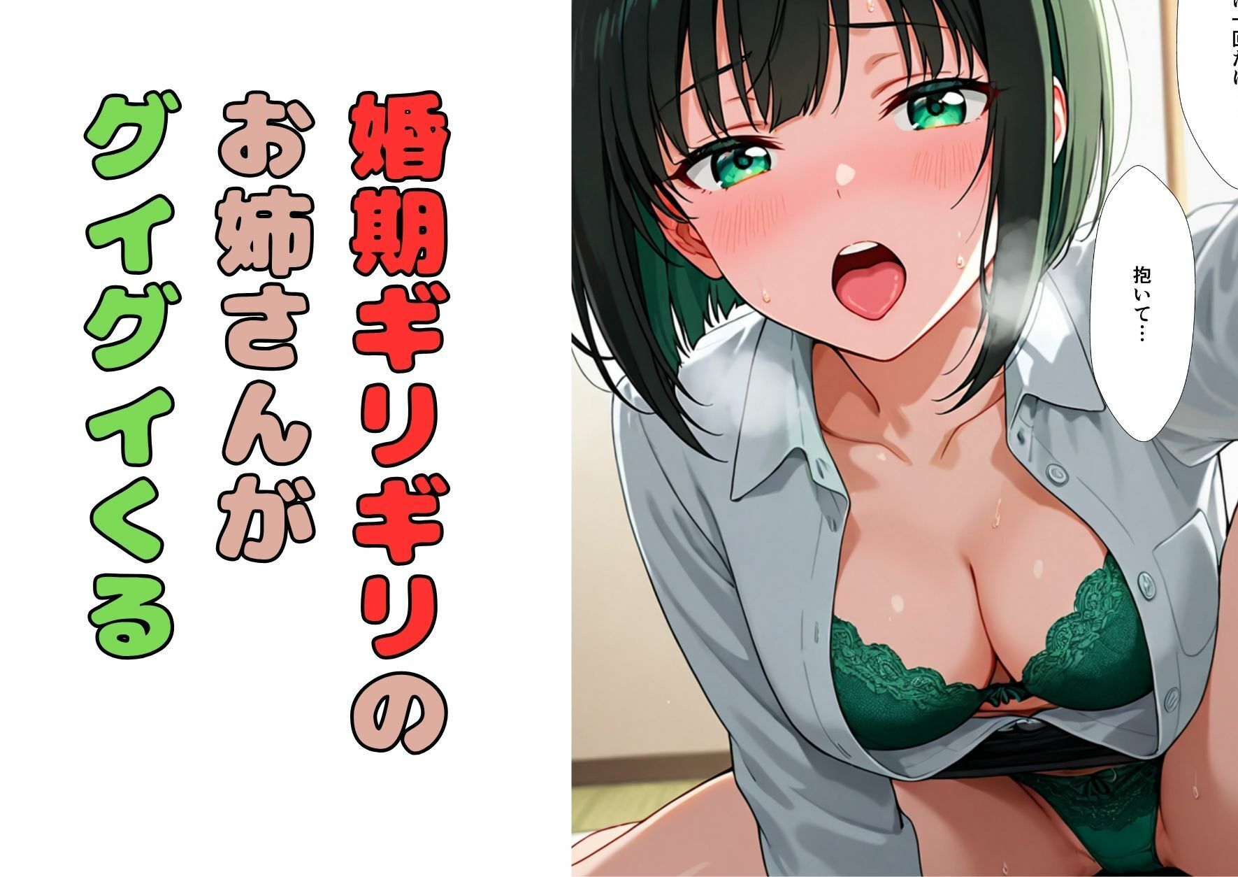 大人になったら結婚すると約束したお姉さんが、アラサーになって結婚を急かしてくる - サンプル画像 3
