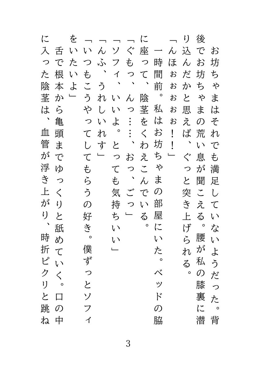 爆乳メイドは夜の窓辺で犯●れる - サンプル画像 3