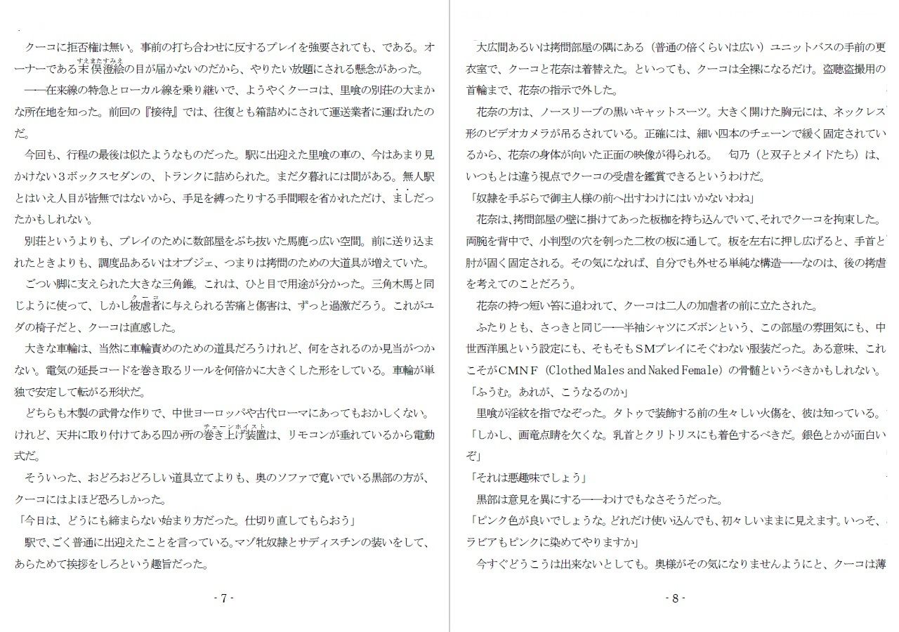800万円のDVR:4弄辱処分編 - サンプル画像 3