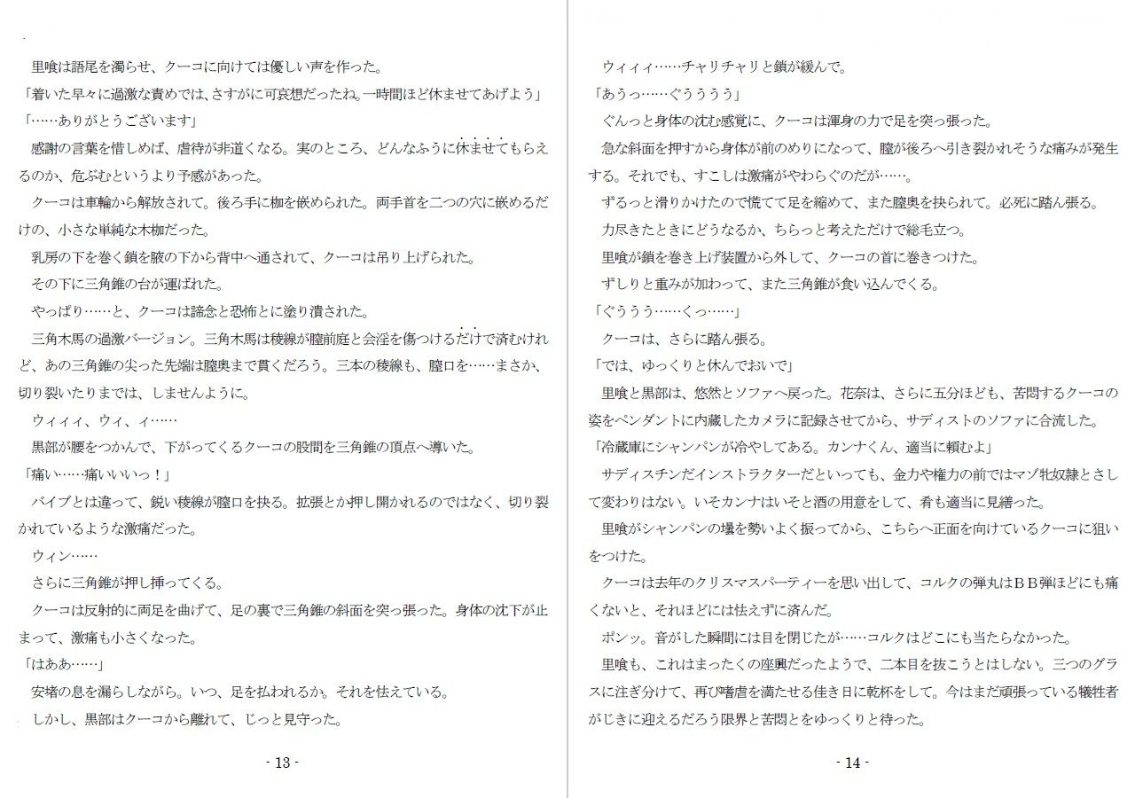 800万円のDVR:4弄辱処分編 - サンプル画像 6