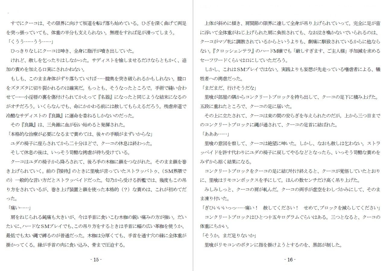 800万円のDVR:4弄辱処分編 - サンプル画像 7