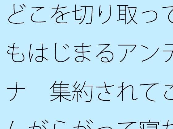 どこを切り取ってもはじまるアンテナ  集約されてこんがらがって寝た昨夜から朝