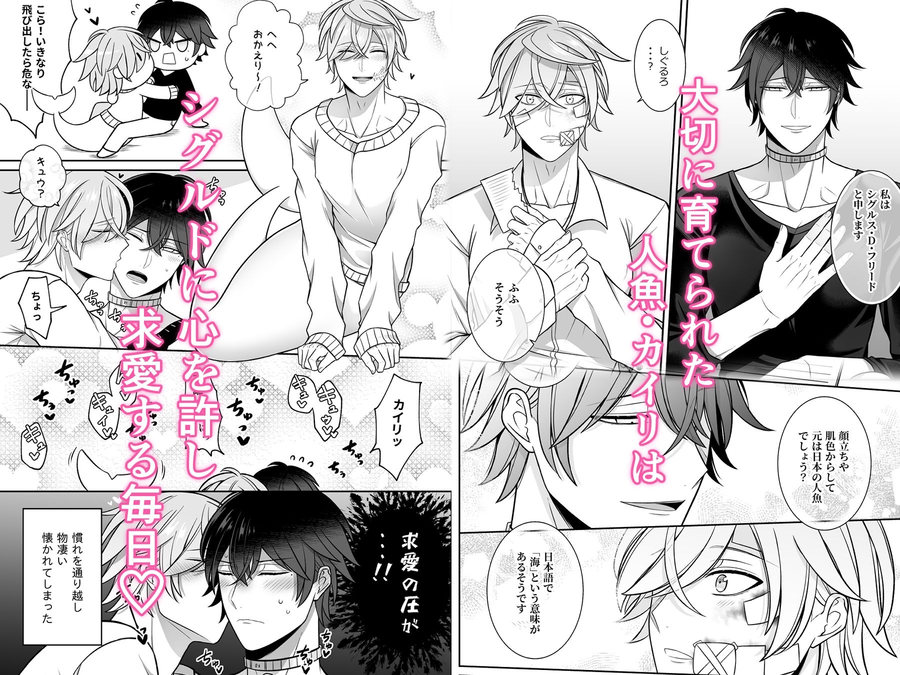 傷ついた人魚を拾ったら懐かれた話 - サンプル画像 2