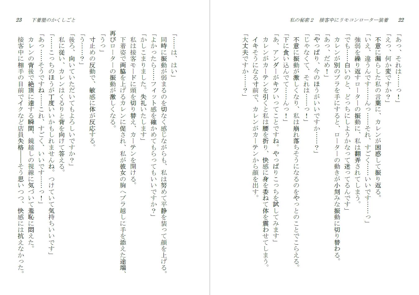 下着屋のかくしごと - サンプル画像 1