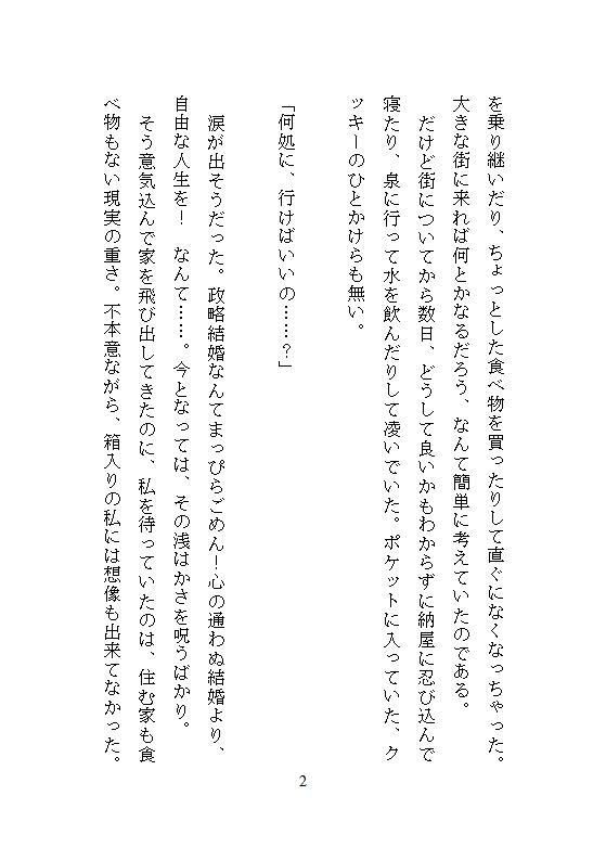 性拷問器具を作るイケメン武器屋に拾われた男爵令嬢、毎夜ごとの地下室で連続絶頂を繰り返し快楽に堕ち壊されていく - サンプル画像 8