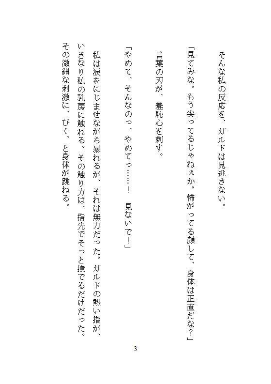 性拷問器具を作るイケメン武器屋に拾われた男爵令嬢、毎夜ごとの地下室で連続絶頂を繰り返し快楽に堕ち壊されていく - サンプル画像 9