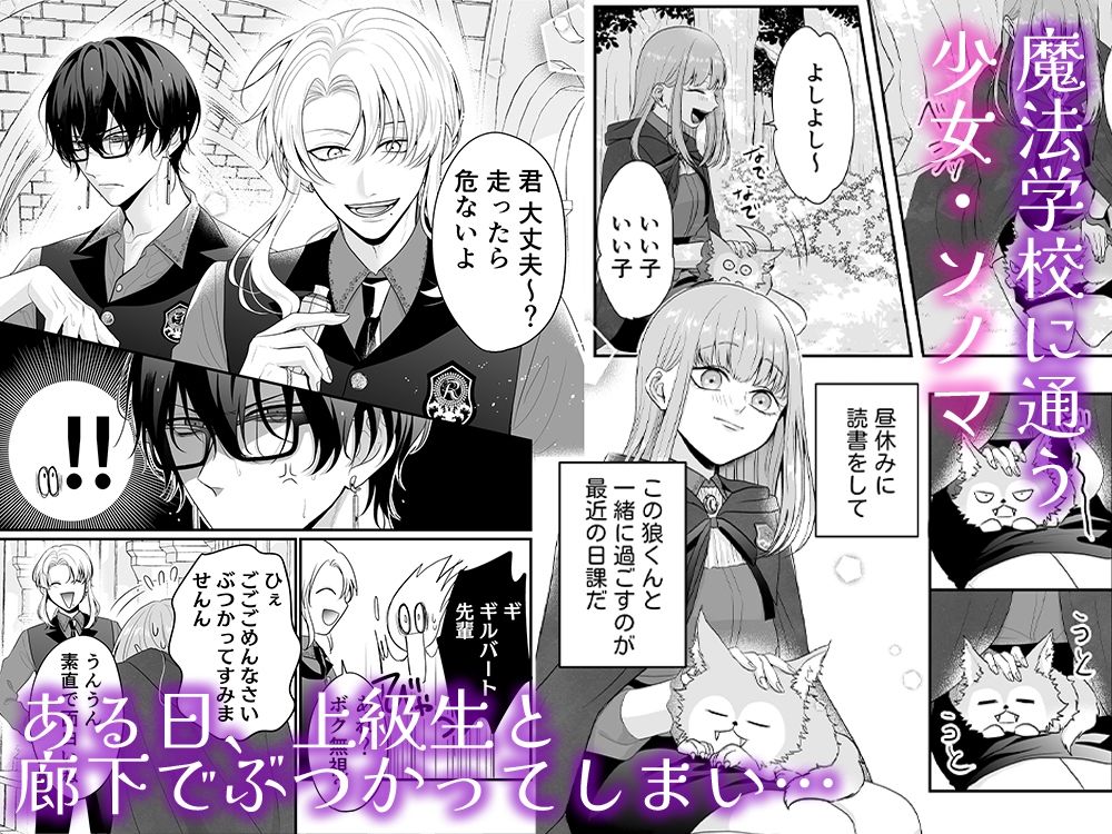 魔法学校の狼くんと媚薬えっちで強●番にされました - サンプル画像 2