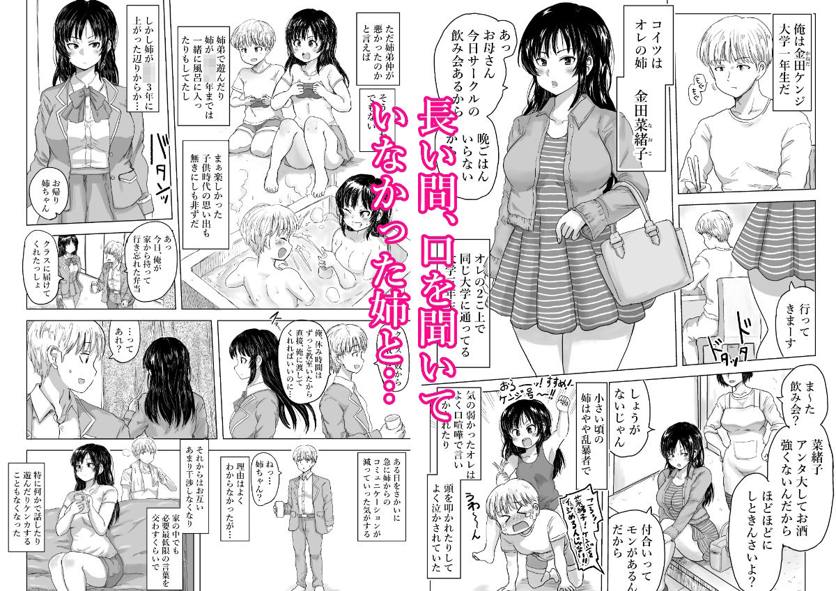 強気な姉が俺専用のオナホになった話 - サンプル画像 1