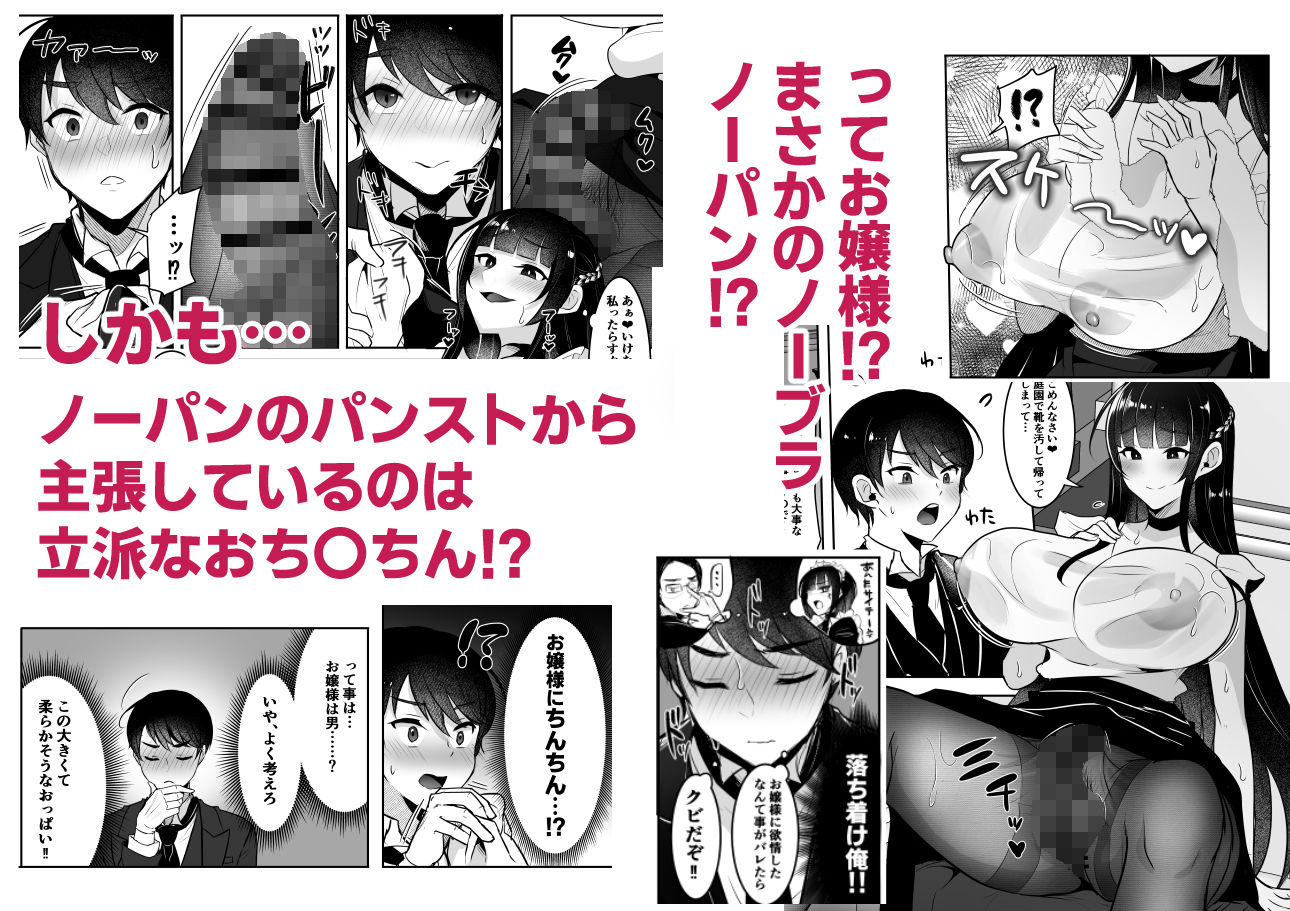 清楚なお嬢様だと思った？残念  我儘×ドSなふたなり痴女でした - サンプル画像 4