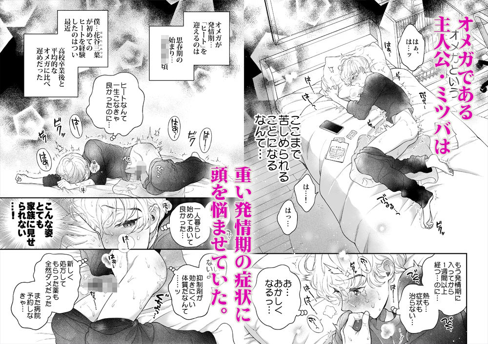 僕を抱く君はアルファ〜Ωの僕が好きになった人はβで、その弟はαで…。〜 - サンプル画像 1