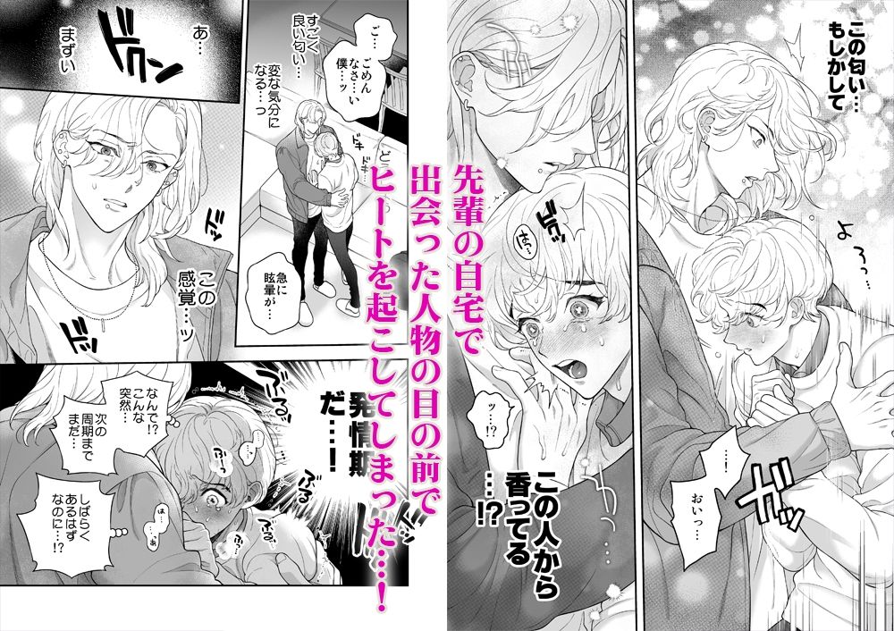 僕を抱く君はアルファ〜Ωの僕が好きになった人はβで、その弟はαで…。〜 - サンプル画像 3