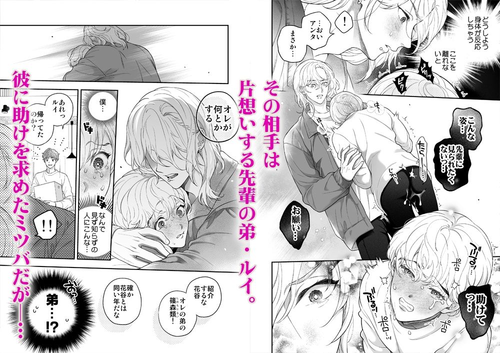 僕を抱く君はアルファ〜Ωの僕が好きになった人はβで、その弟はαで…。〜 - サンプル画像 4