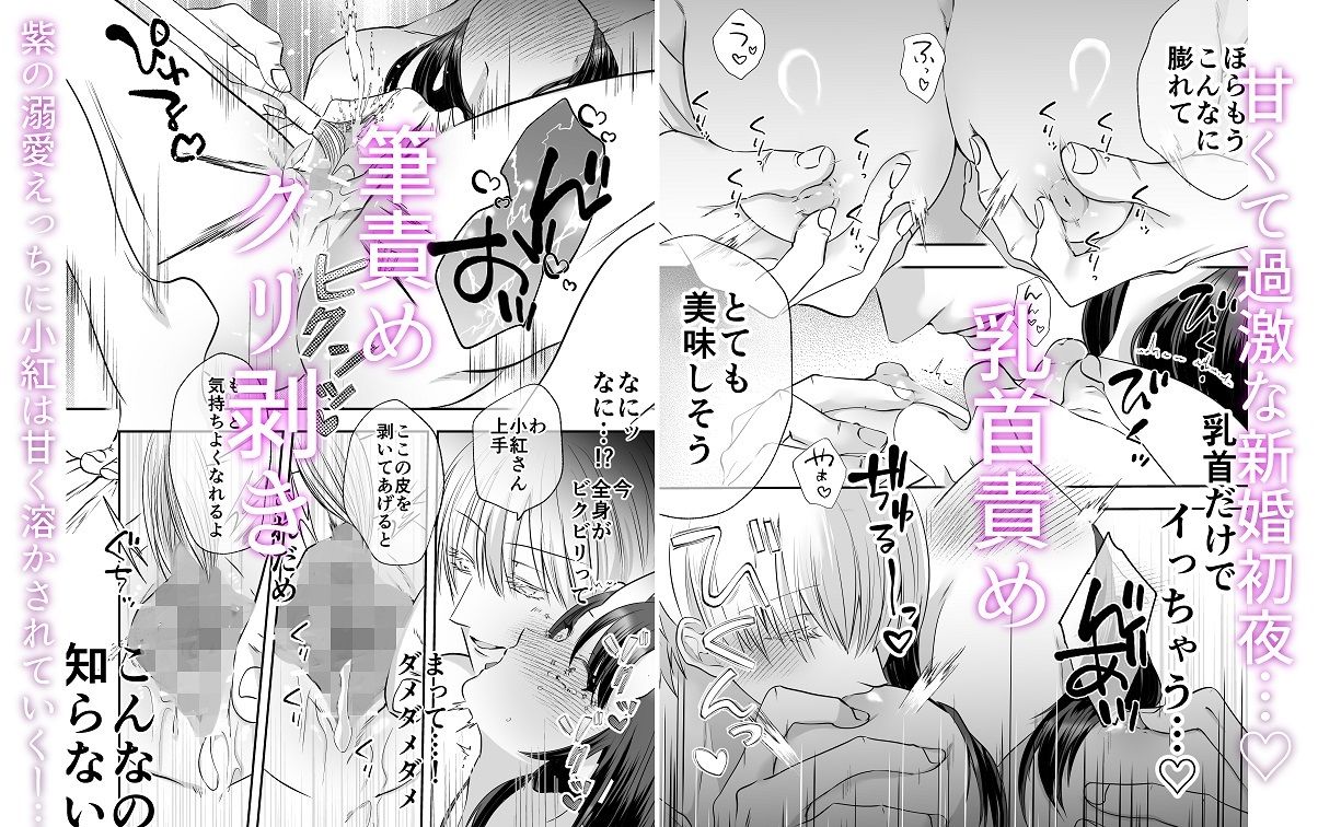 引き篭もり鬼姫様は押しかけ旦那に溺愛される - サンプル画像 5