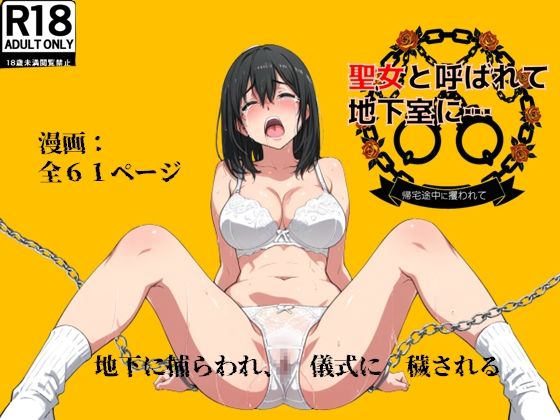 聖女と呼ばれて地下室に…帰宅途中に攫われて