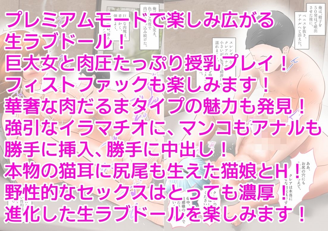 生ラブドールで色んな中出しプレイを楽しんだ。  下巻 - サンプル画像 10
