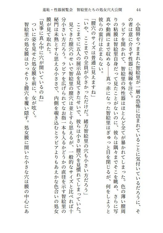 羞恥・性器展覧会  智絵里たちの処女穴大公開 - サンプル画像 2