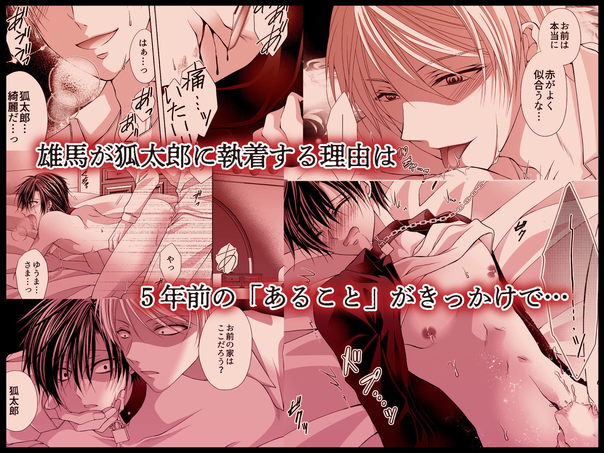 狐太郎くん躾日記 - サンプル画像 4