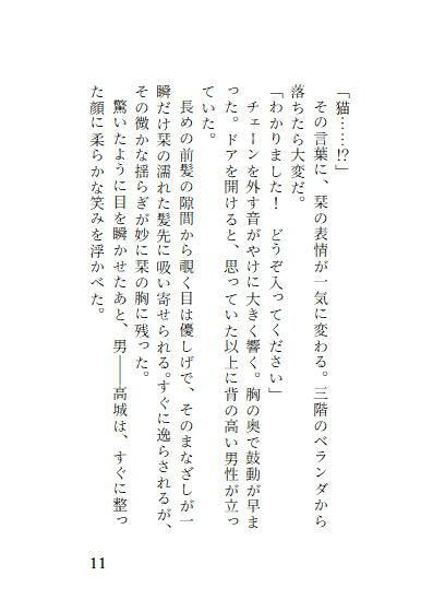 わたしの部屋を覗いていた男に侵入されてイヤだと言ったのにイカされました - サンプル画像 9