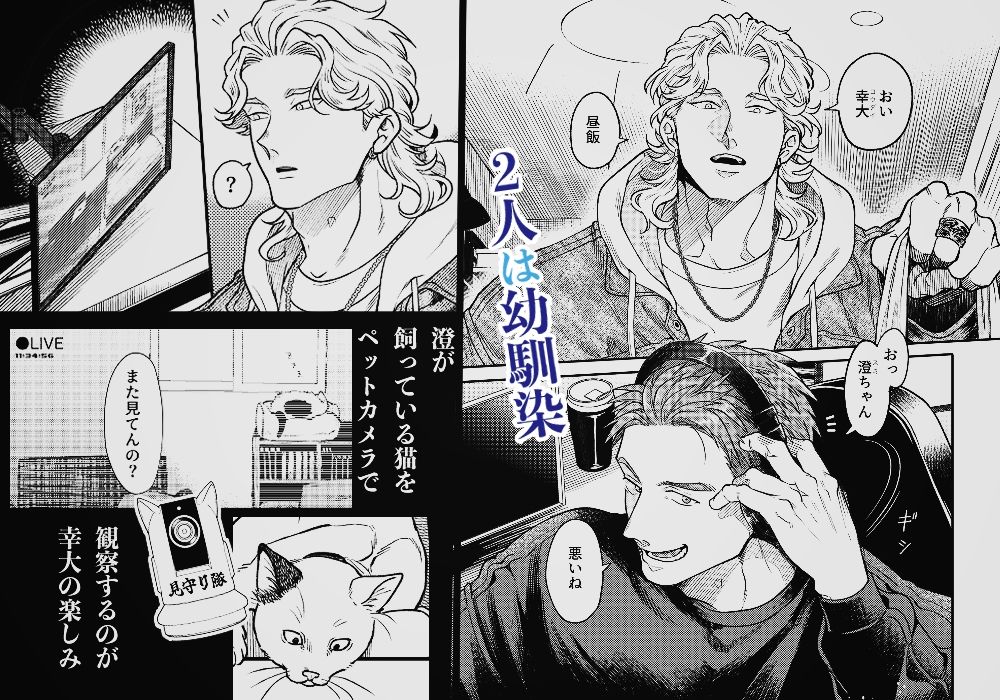 出来心で幼馴染の部屋を覗いてしまった話 - サンプル画像 1