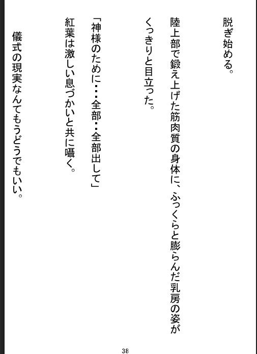 淫試し  官能小説 - サンプル画像 1