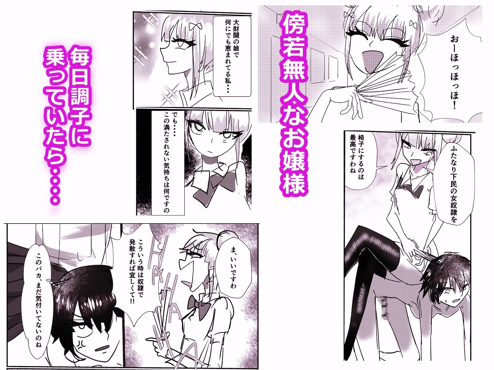 高飛車お嬢様  ふたなり奴●に反逆される - サンプル画像 1