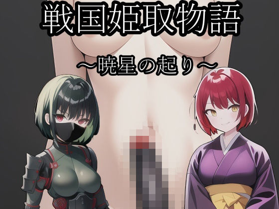 戦国姫取物語〜暁星の起り〜