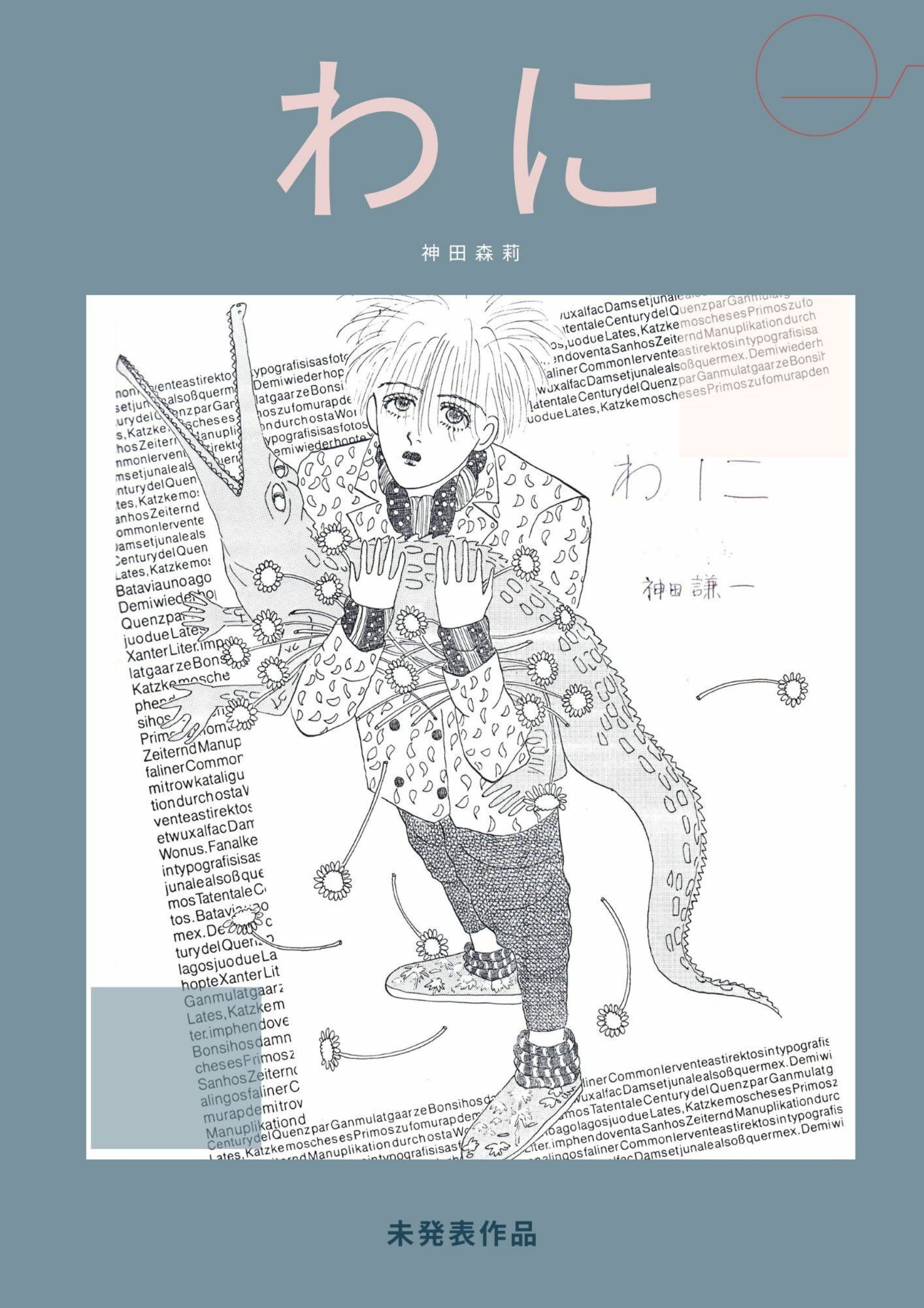 未発表作品『わに』1988年  -  神田森莉 - サンプル画像 1