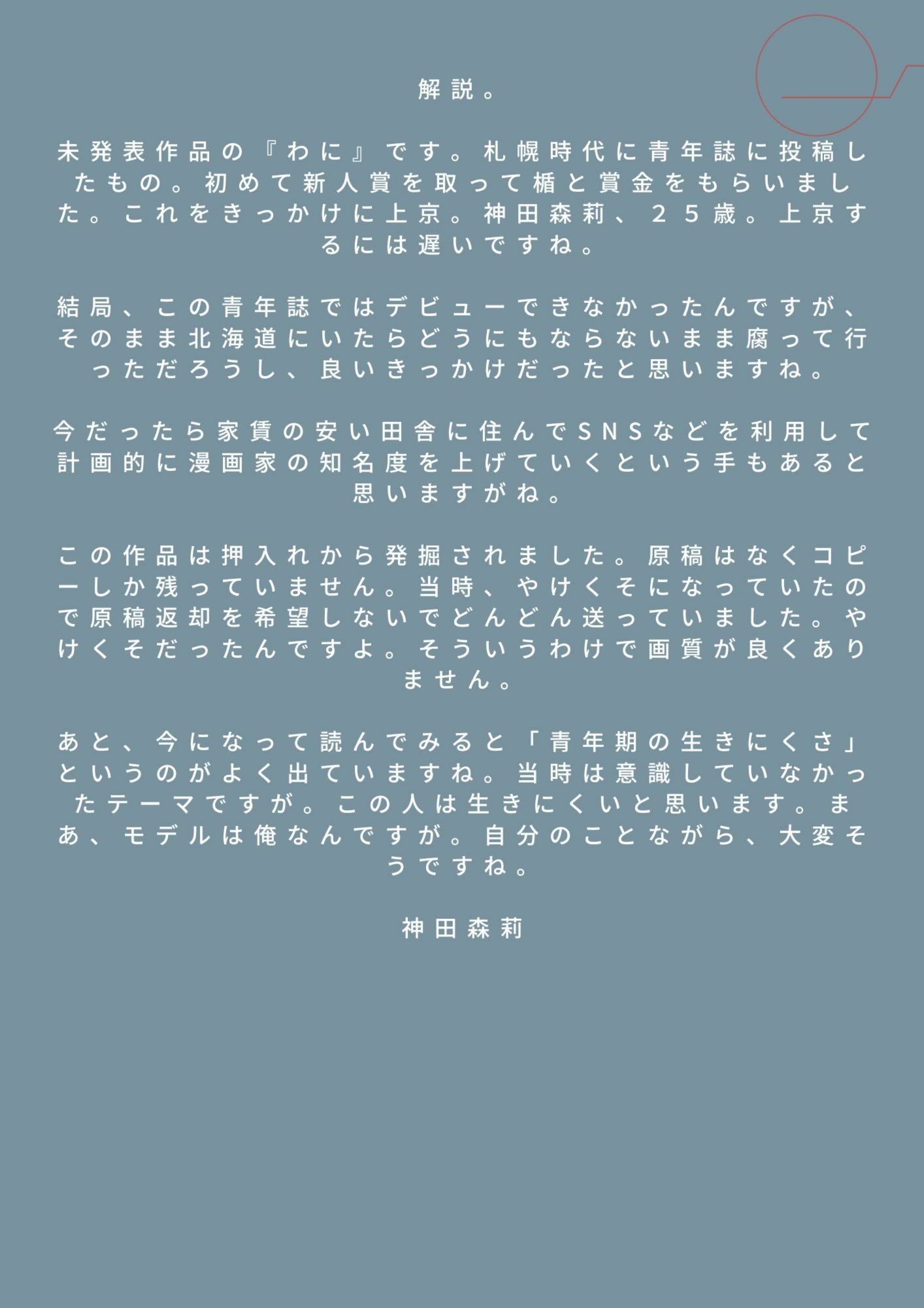 未発表作品『わに』1988年  -  神田森莉 - サンプル画像 3