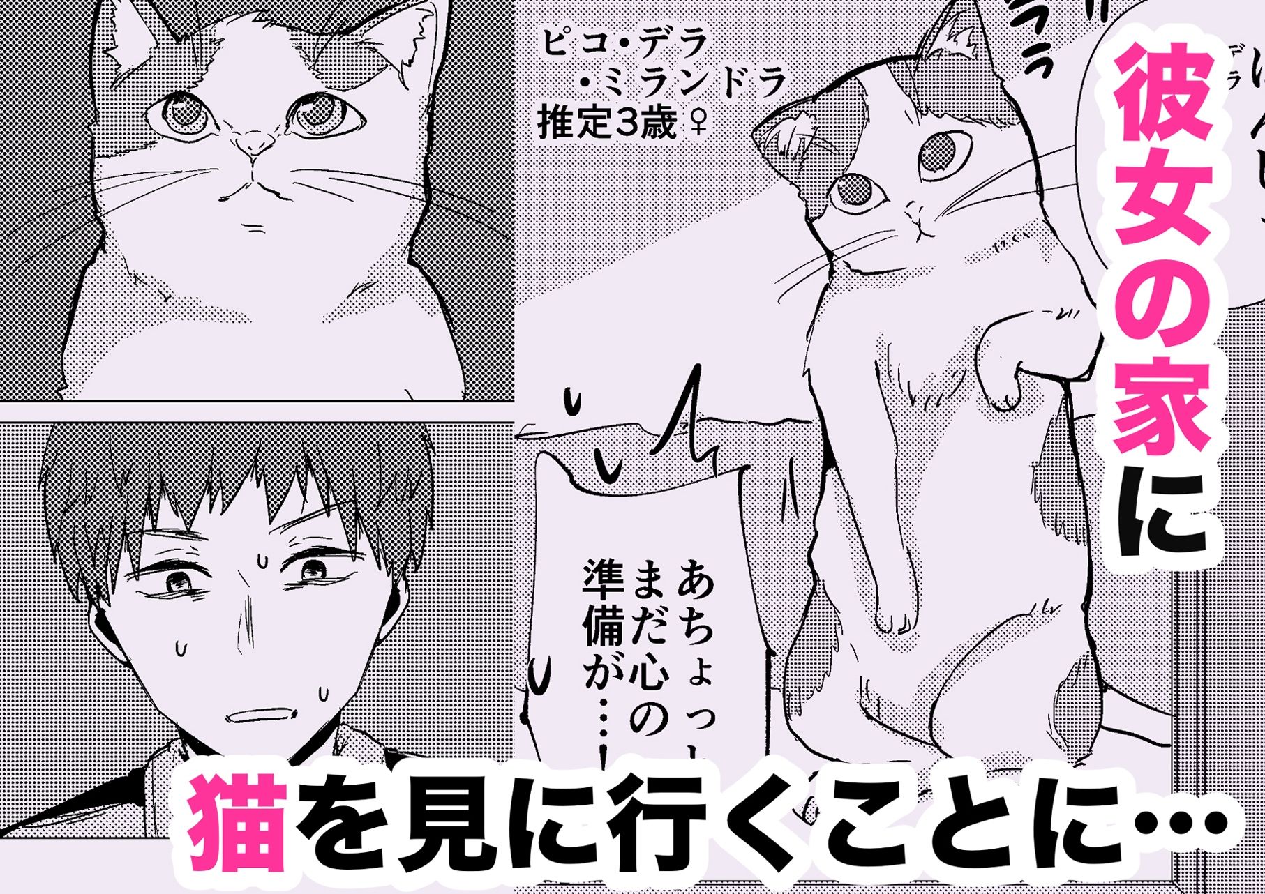 ウチに猫ちゃん見にこない？ - サンプル画像 3