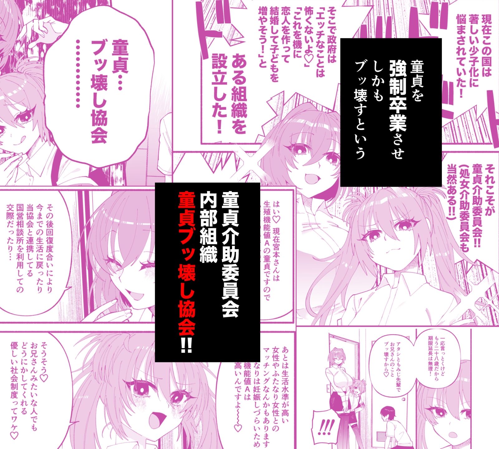 わたくしたち、「童貞介助委員会」内部組織「童貞ブッ壊し協会」の者ですが… - サンプル画像 3