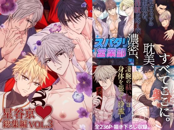 星谷京総集編 VOL.3